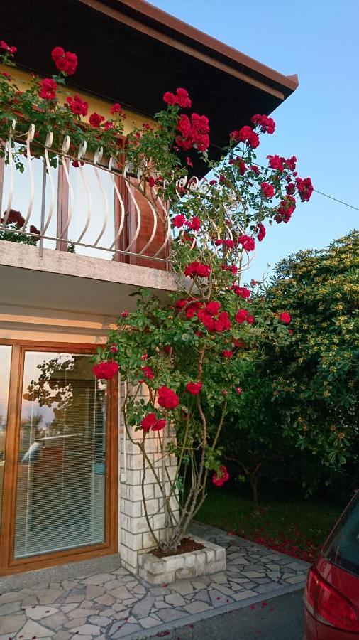 Apartma Niko Piran Exterior foto